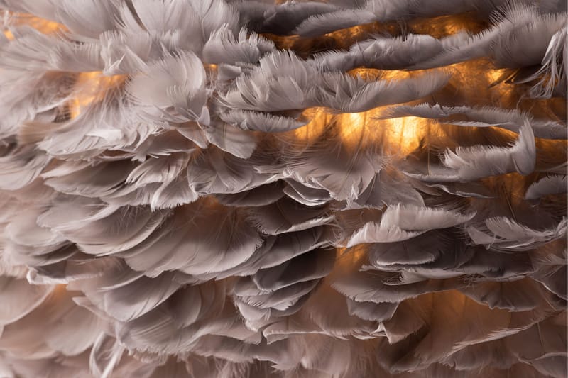 Nicola Pendellampa 36 cm - Grå - Products - Belysning - Lampor & belysning inomhus - Designlampor - Fjäderlampa