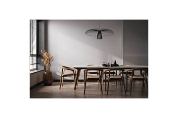 Takpendel Eglo Champerico Svart - Products - Belysning - Lampor & belysning inomhus - Taklampa & takbelysning - Pendellampa & hänglampa