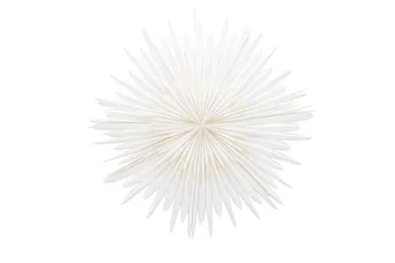 Sälen Adventsstjärna / Jullampa 100 cm - Vit - Products - Belysning - Julbelysning - Adventsstjärna