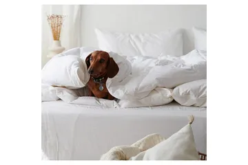 Täcke Hotelltäcke 220 x 210 cm - Franzén - Products - Textil & mattor - Sängkläder - Täcke